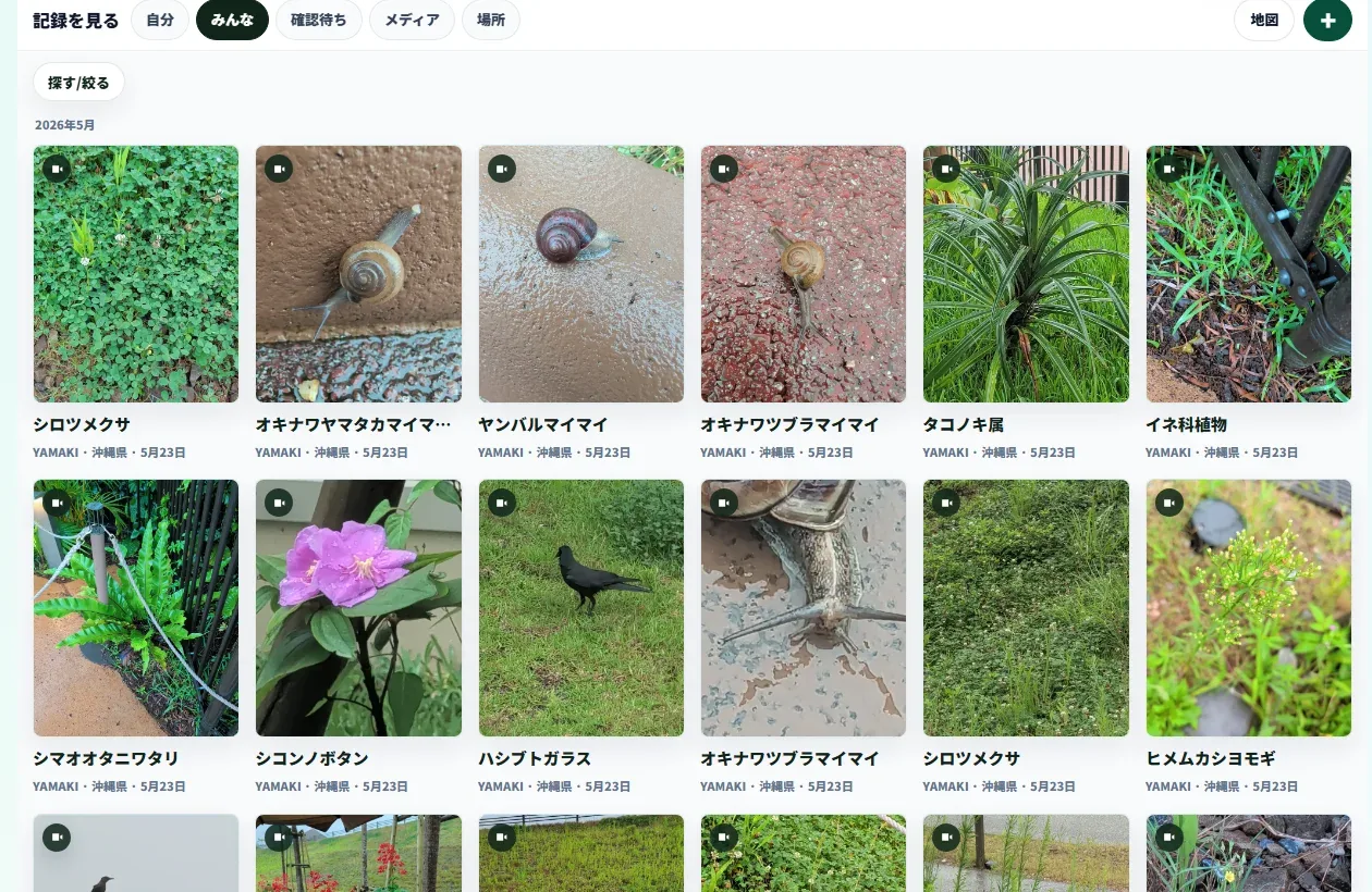 ikimon.lifeの記録一覧画面