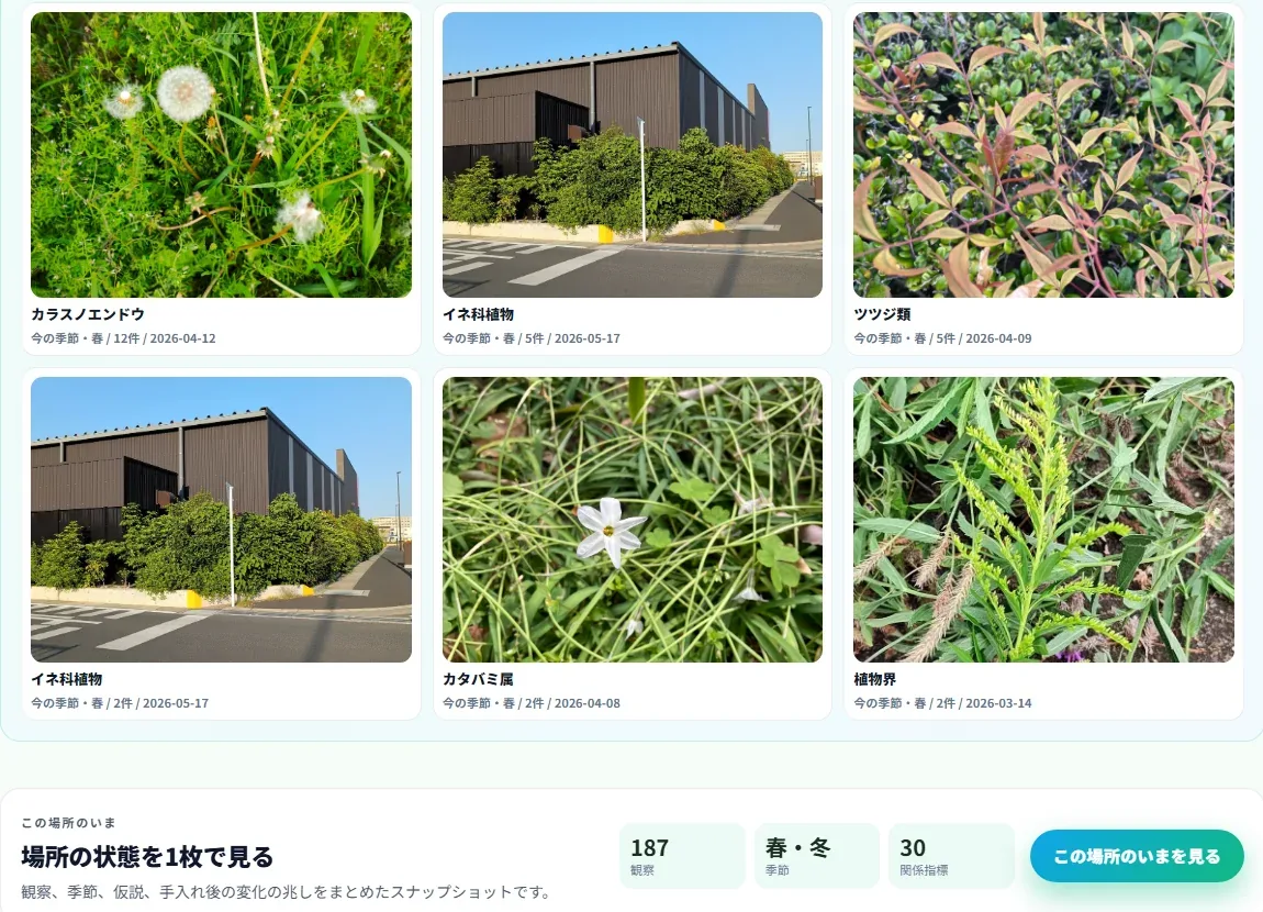 ikimon.lifeの場所ページに並ぶ写真つき記録